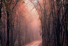 天涯论坛情感天地事件，真的是八卦の心情 unable to handle！