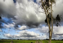 天涯论坛情感天地里的出轨故事：现实版罗密欧与朱丽叶