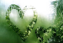 天涯论坛情感天地事件，真的是八卦の心情 unable to handle！